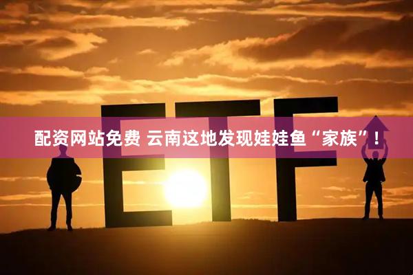 配资网站免费 云南这地发现娃娃鱼“家族”！