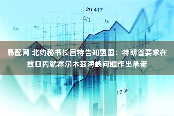 易配网 北约秘书长吕特告知盟国：特朗普要求在数日内就霍尔木兹海峡问题作出承诺