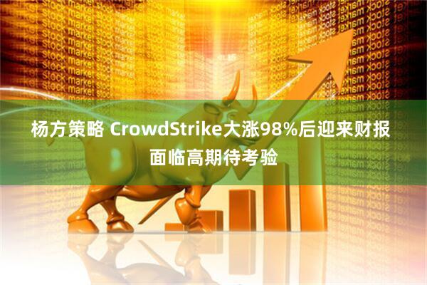 杨方策略 CrowdStrike大涨98%后迎来财报 面临高期待考验